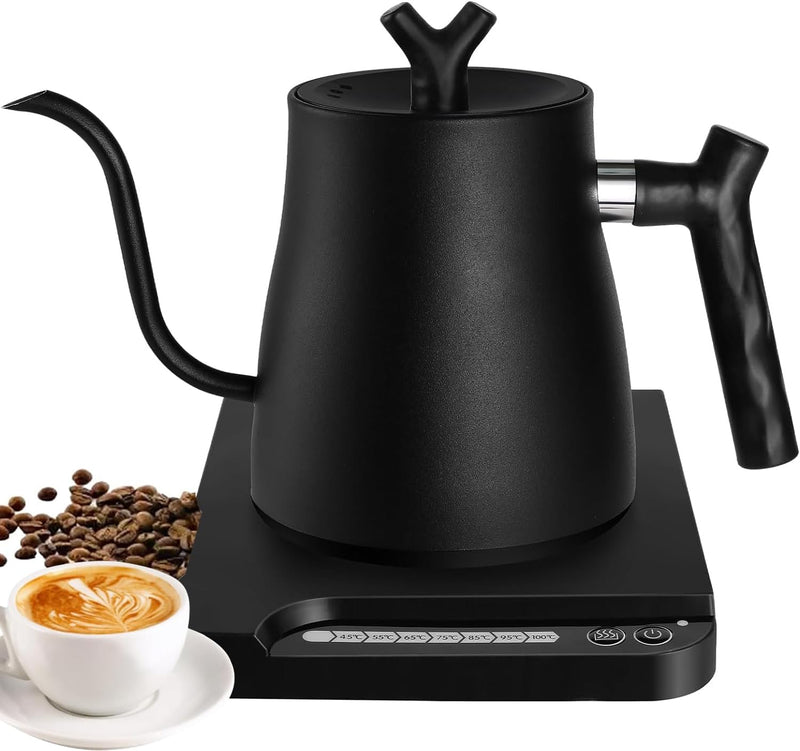 1L Stainless Steel Electric Kettle with Temperature Indicator Auto Shut-Off