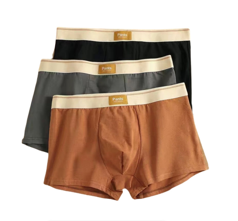 IPSTYLE Men Panties Cotton BoxerShorts Man Underwear Mens Boxers