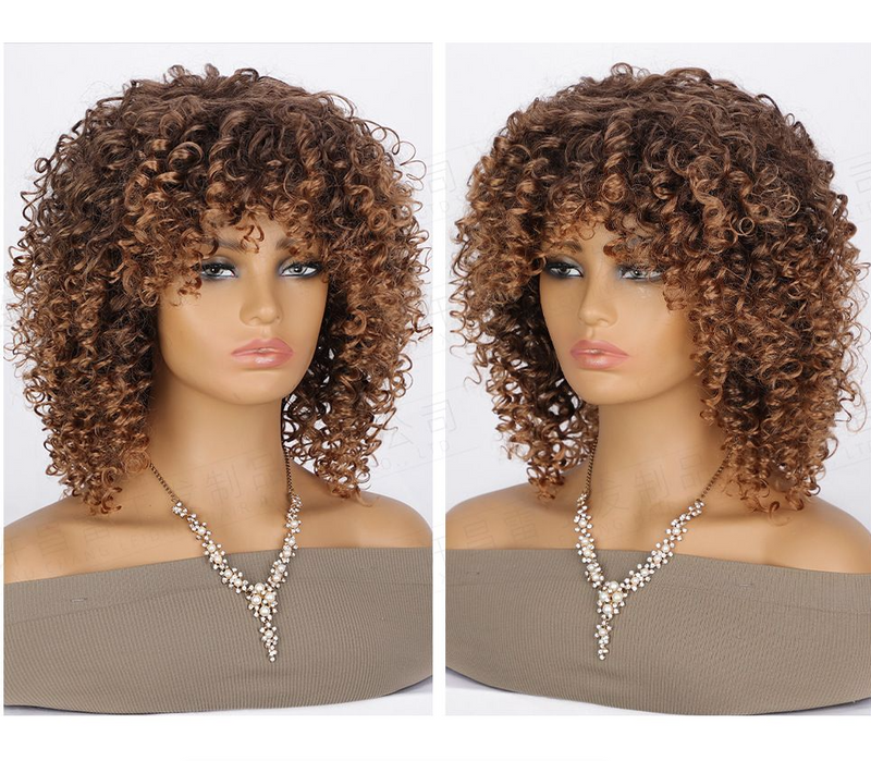Synthetic Short Brown Bounce Curly Wigs for Woman Afro Fluffy Wigs - IPSTYLE