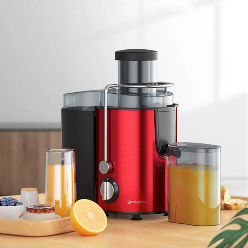 IPSTYLE Stainless Steel Fruit Juicer Centrifugal Strong Power Easy To Clean 800W