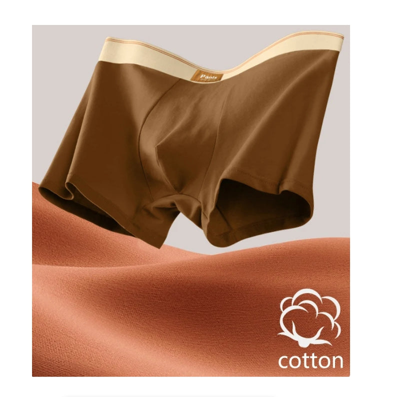 IPSTYLE Men Panties Cotton BoxerShorts Man Underwear Mens Boxers