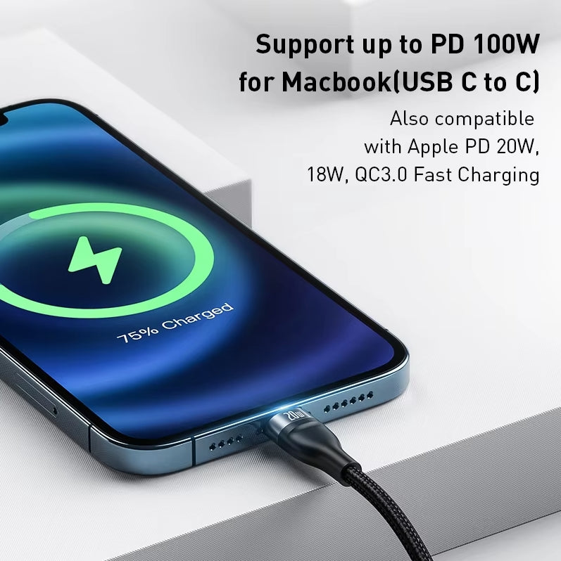 100W 5 in 1 USB Type C to Type C/Lighting/Micro Fast Charge Data Cable