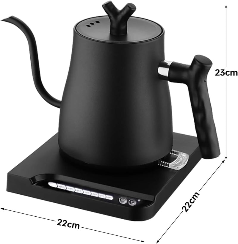 1L Stainless Steel Electric Kettle with Temperature Indicator Auto Shut-Off