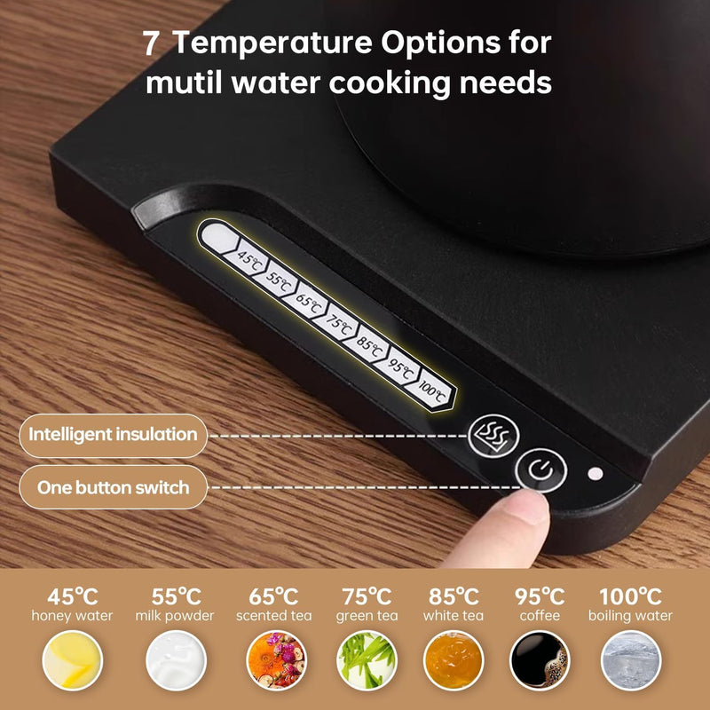 1L Stainless Steel Electric Kettle with Temperature Indicator Auto Shut-Off