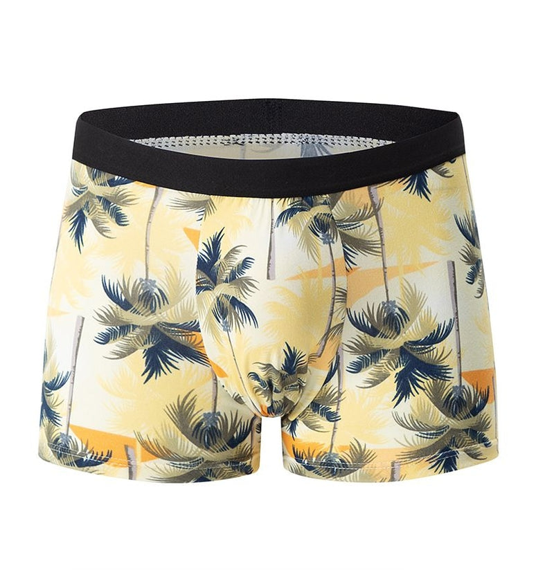 IPSTYLE MEN'S Underwear Comfortable and Breathable Crotch Boxers Teenagers