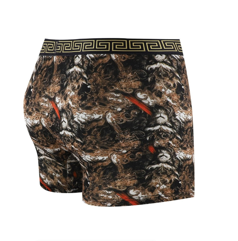 IPSTYLE Men's Underwear Breathable Teenage Student Boxer Brief