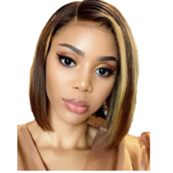 Full Frontal Highlight Artificial Hair Wig