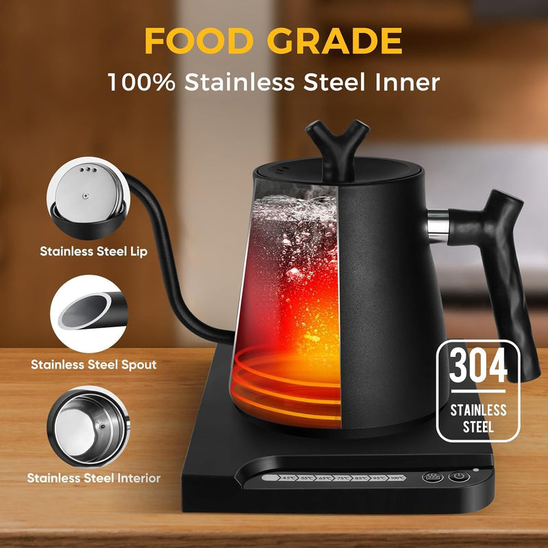 1L Stainless Steel Electric Kettle with Temperature Indicator Auto Shut-Off