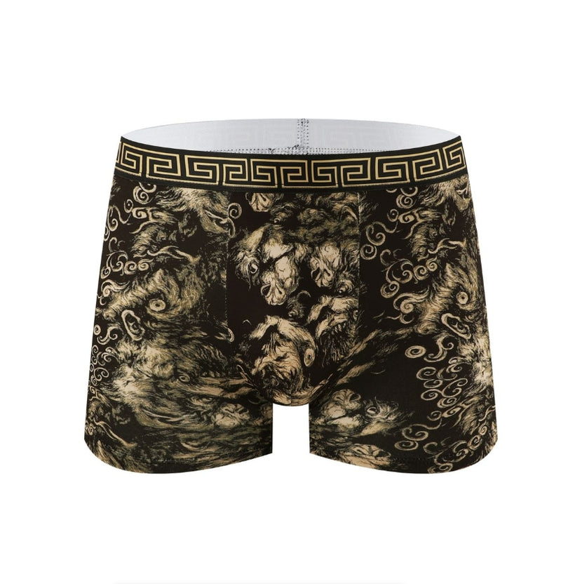 IPSTYLE Men's Underwear Breathable Teenage Student Boxer Brief