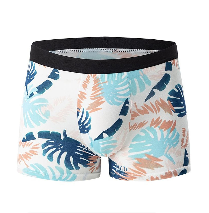 IPSTYLE MEN'S Underwear Comfortable and Breathable Crotch Boxers Teenagers