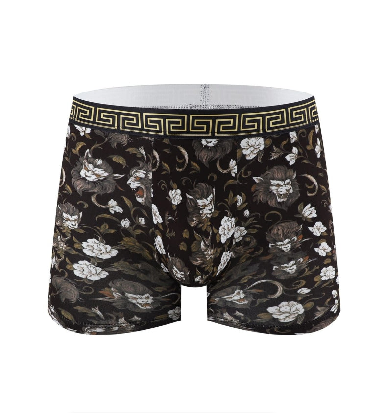 IPSTYLE Men's Underwear Breathable Teenage Student Boxer Brief