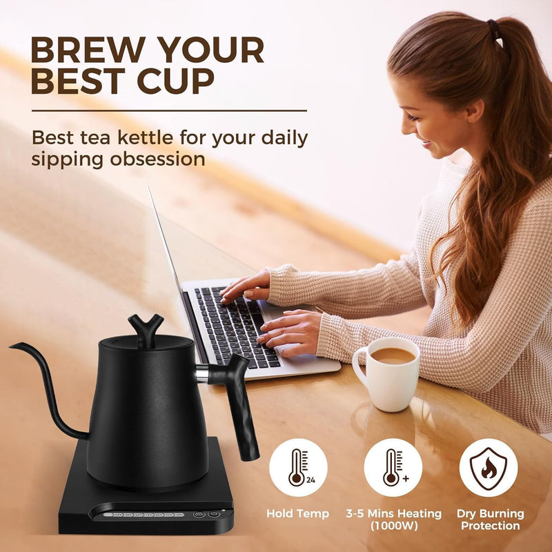 1L Stainless Steel Electric Kettle with Temperature Indicator Auto Shut-Off