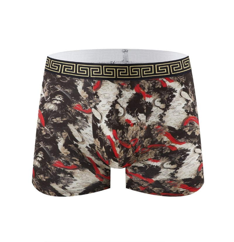 IPSTYLE Men's Underwear Breathable Teenage Student Boxer Brief