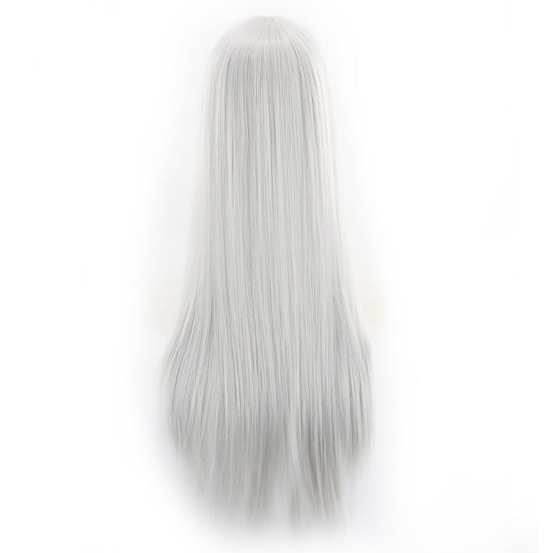 Straight Wig for Woman, 220g Synthetic Cosplay Wig - 70cm Long