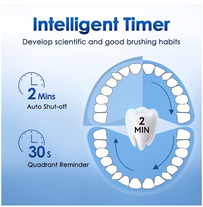 IPSTYLE Electric Toothbrush 5 Modes USB Fast Rechargeable Toothbrush
