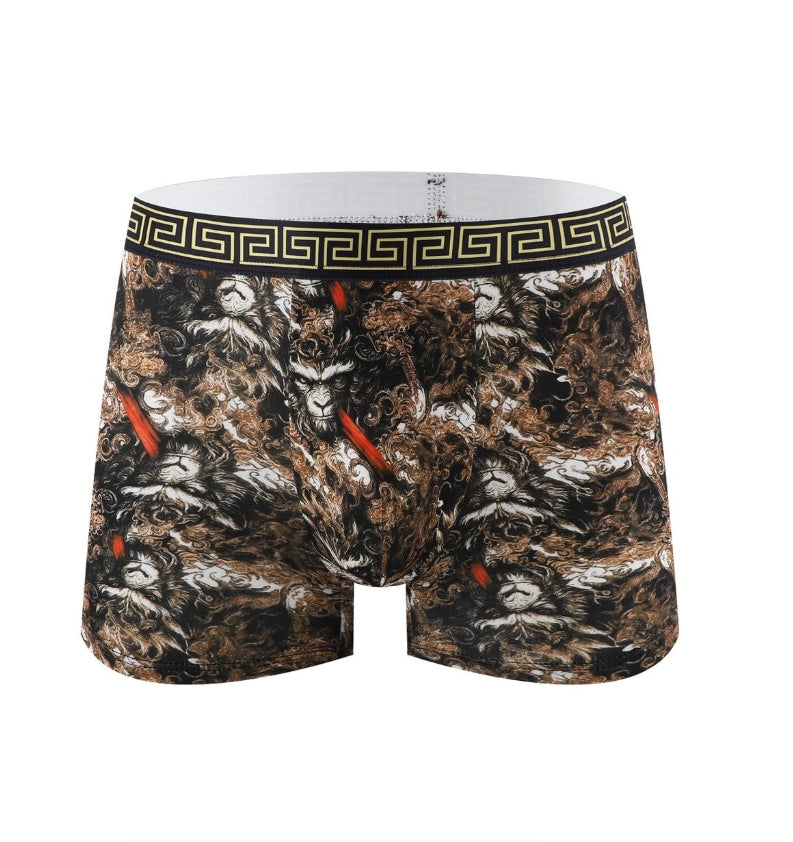 IPSTYLE Men's Underwear Breathable Teenage Student Boxer Brief