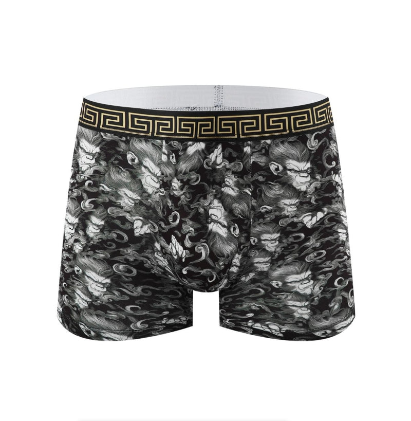 IPSTYLE Men's Underwear Breathable Teenage Student Boxer Brief