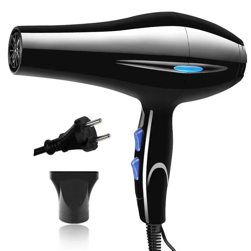 Professional Hair Dryer